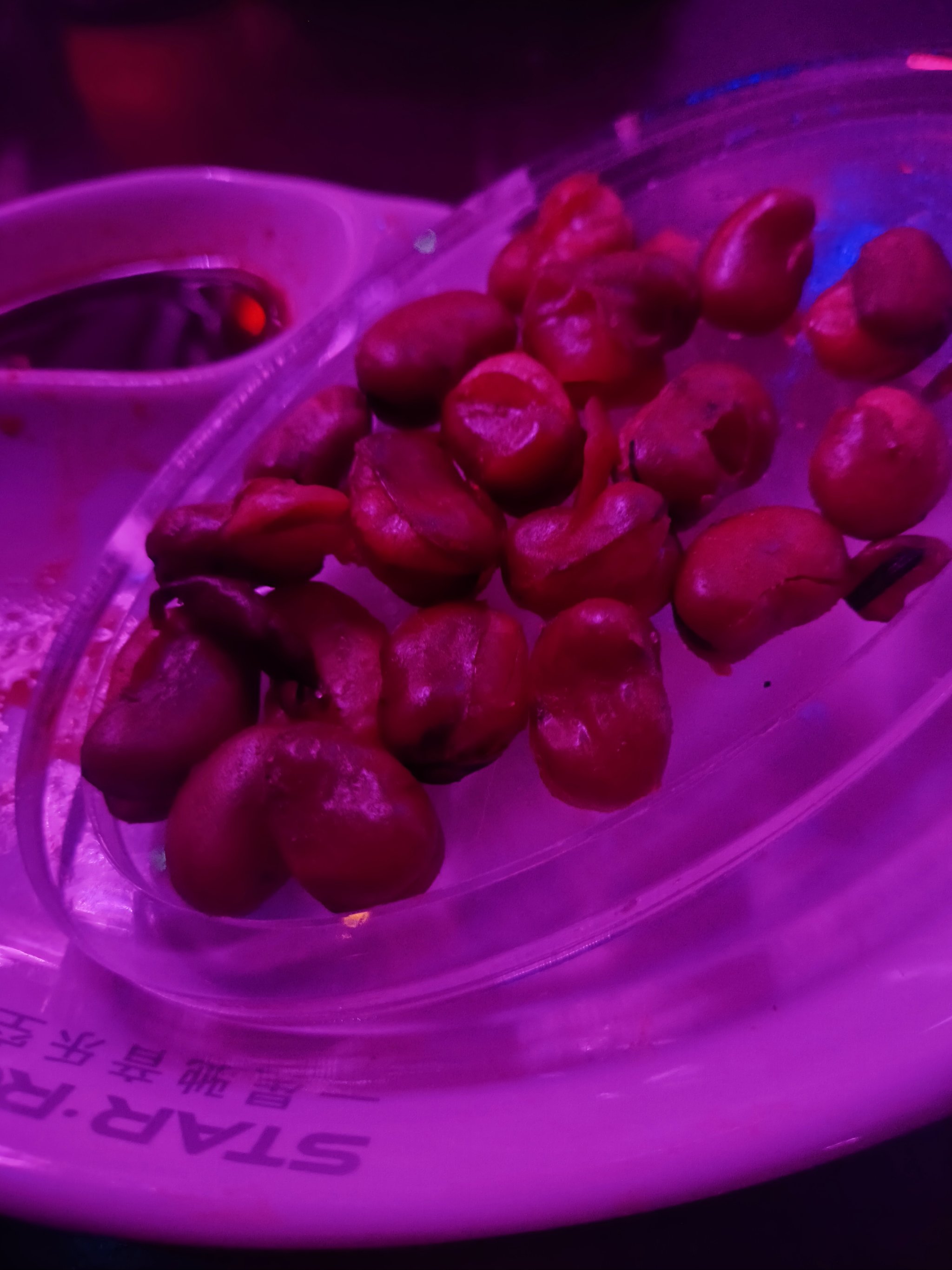 平凉商务ktv推荐高性价比商务ktv选择-崆峒区ktv预订